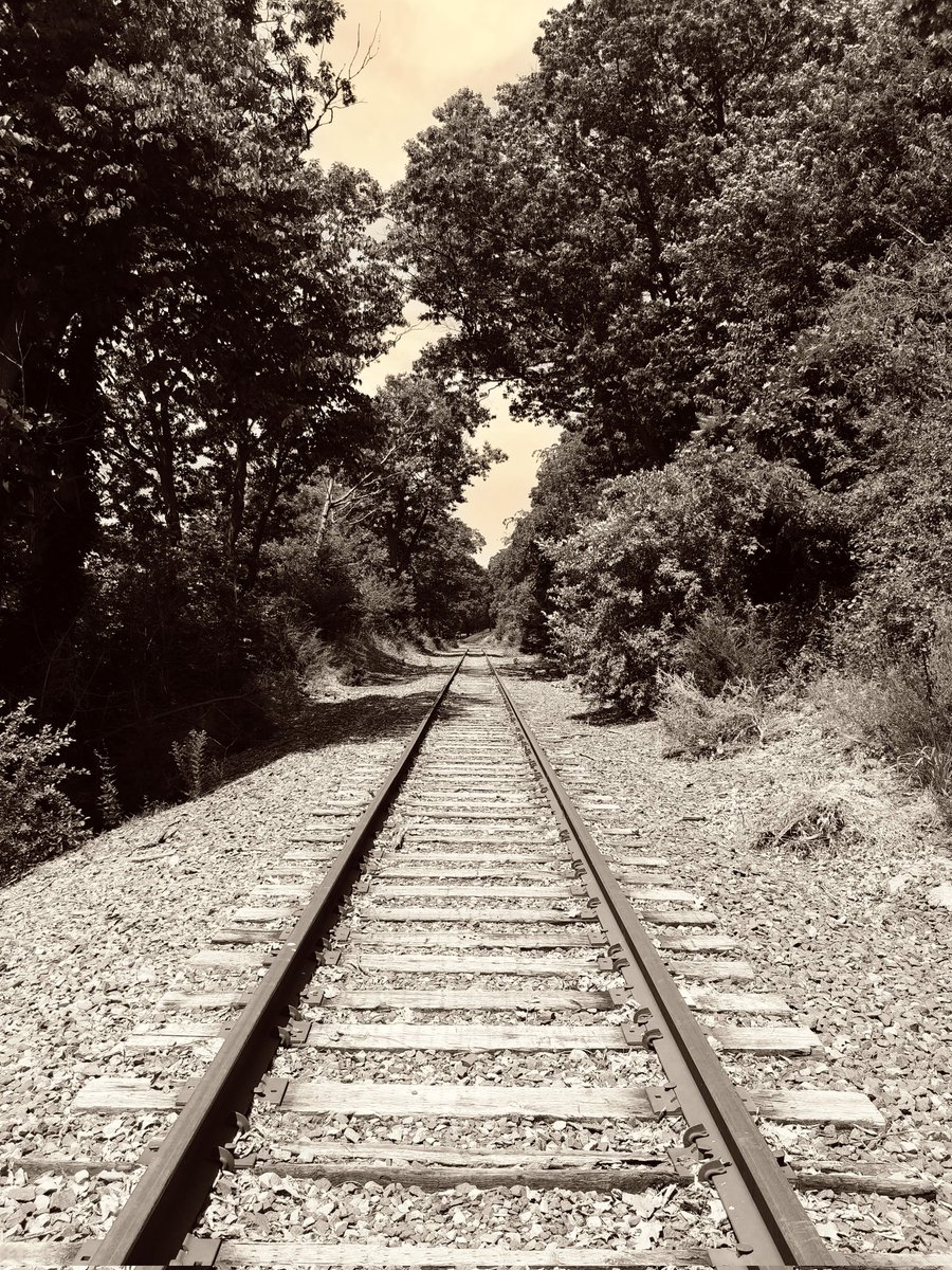 n_e_davis's tweet image. #PhotoADay2022
293/365
Traveling
New York 2019