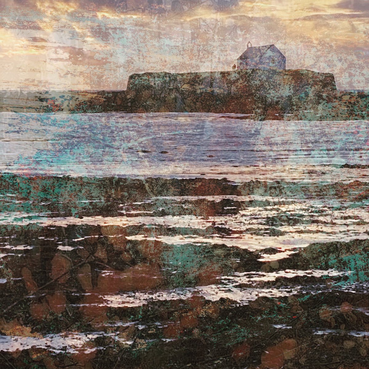 Joy Aitman photos tweet media