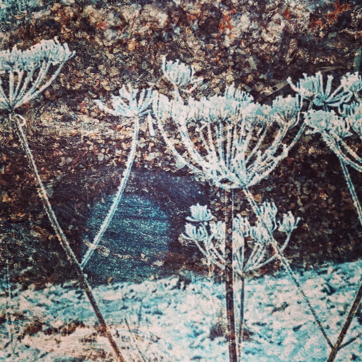 Joy Aitman photos tweet media