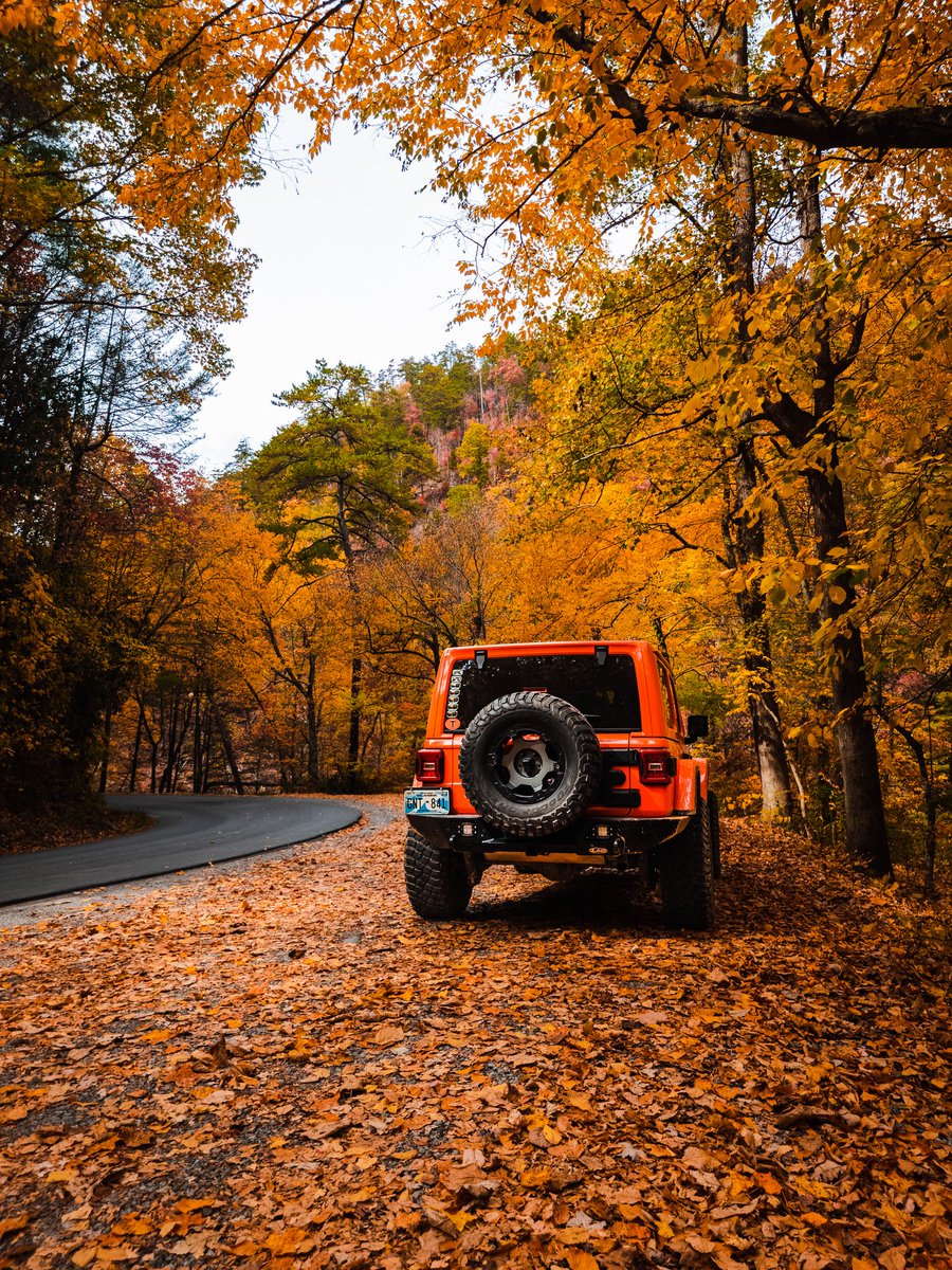 There's just something magical about driving windy, leaf covered roads under a dense canopy of colorful trees. #tailendtuesday #itsajeepthing #instagramtennessee #jeepwrangler #jeeplife #livetoexplore #smokymountains #nationalparks #orangejeep #liftedjeep #jeepphotography