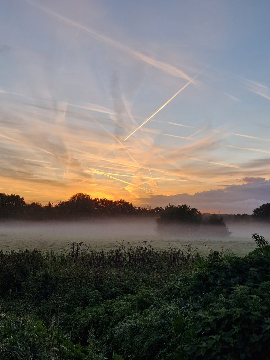 RavenSong1971's tweet photo. Running late this morning, but just managed to catch the sunrise 🌅 
RavenSong/|\ https://t.co/6AFC7c0bLb