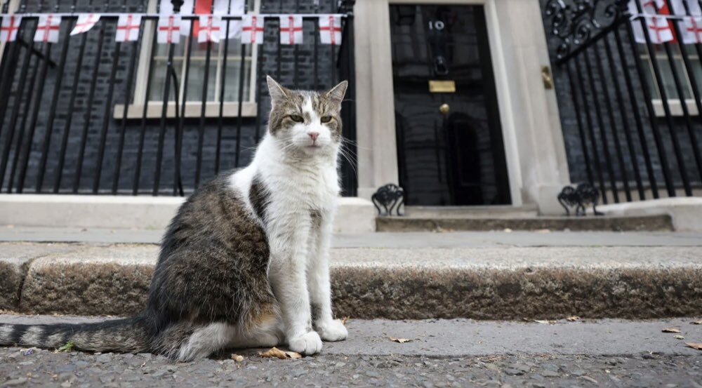 LARRY Larry, residence of 10 Downing Street longer than the last three Prime Ministers combined, long-serving staff member, remains Chief Mouser. #LarryTheCat @DSDloveyou @masblue57 @Rik_norfolk @Ursulalaland @EoferwicOik @MrsCR1ghtW1ng @RayBurtonSAS @TismeforTrump @Queeny1946