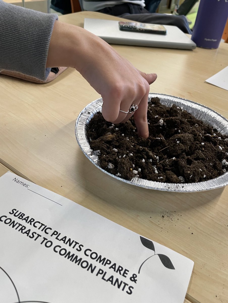 Emily Sprowls tweet media