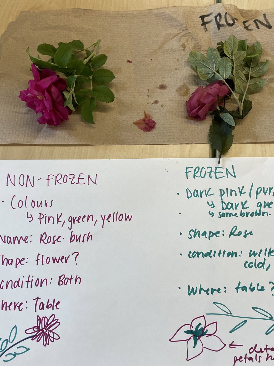 Emily Sprowls tweet media