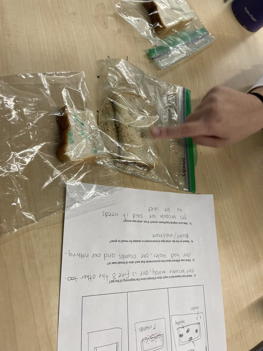 Emily Sprowls tweet media