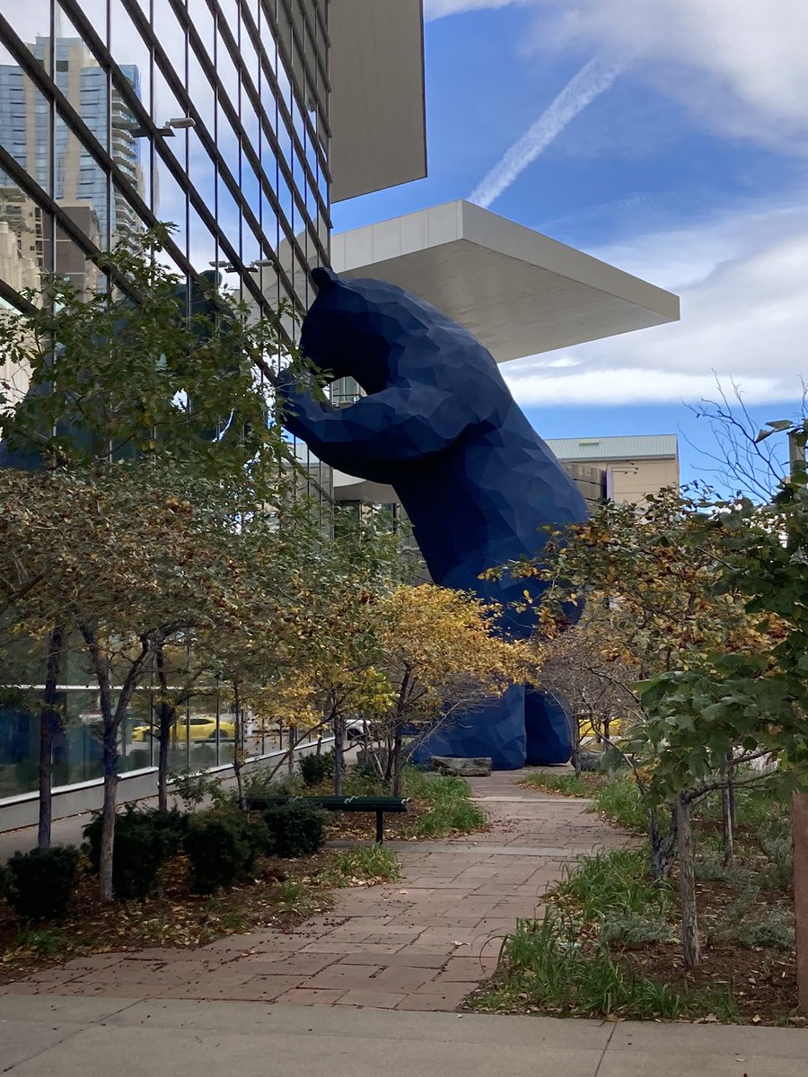 Standish Stewart tweet media