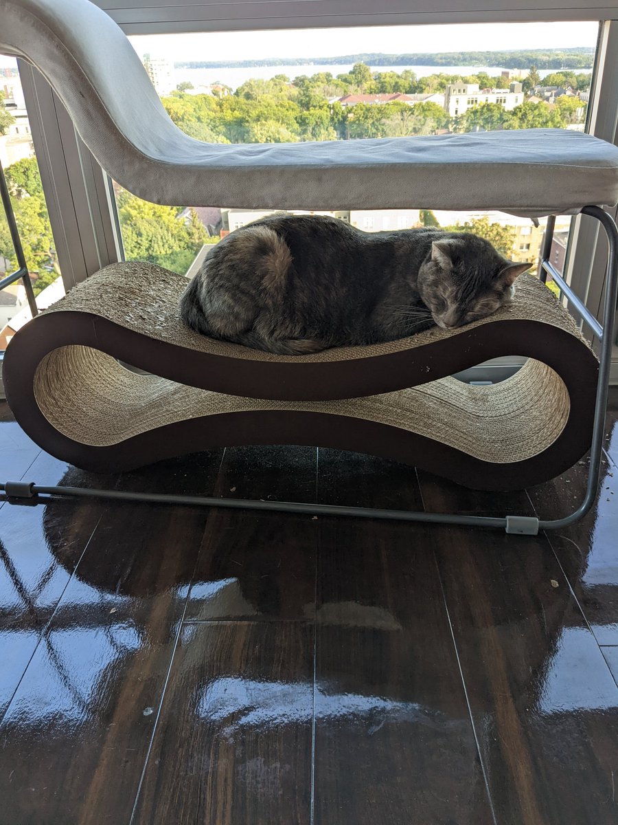 Courtney Soderberg tweet media