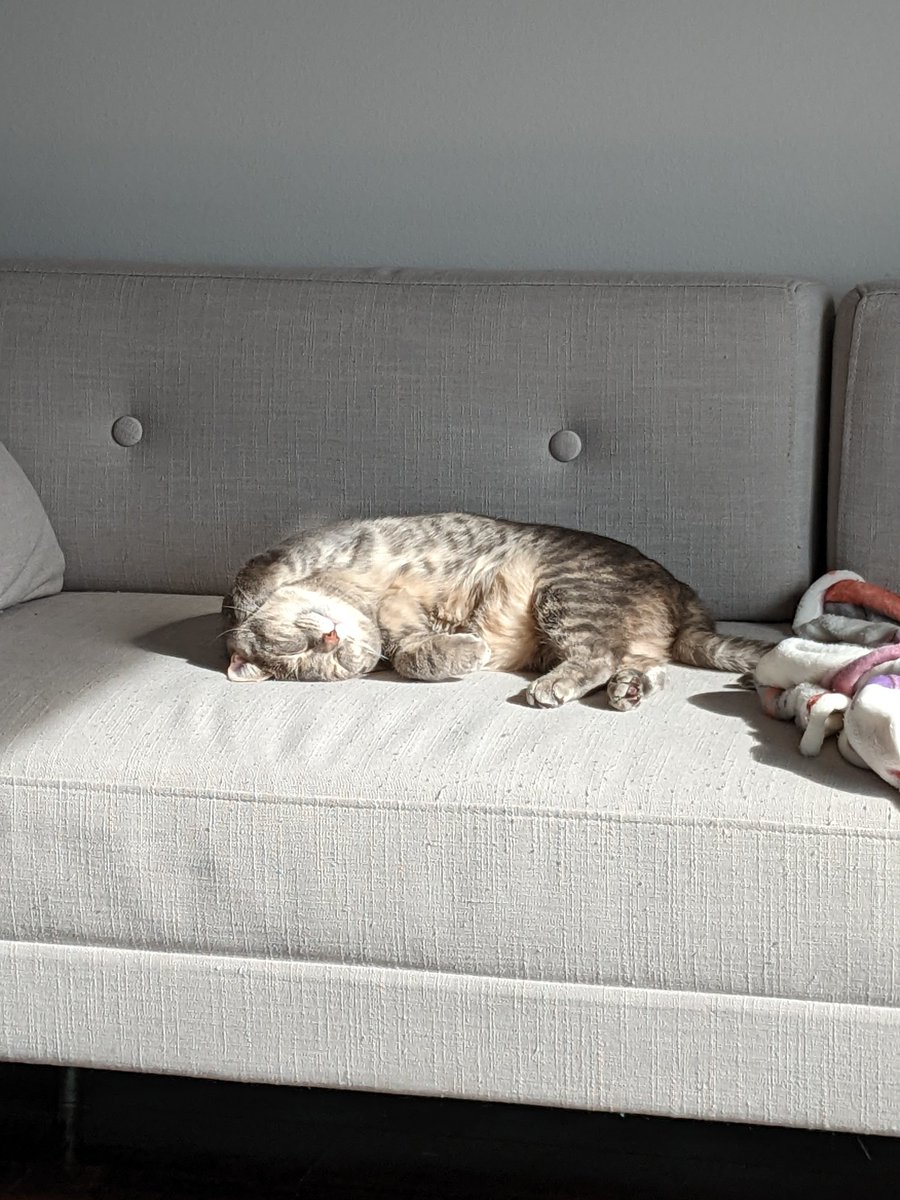 Courtney Soderberg tweet media