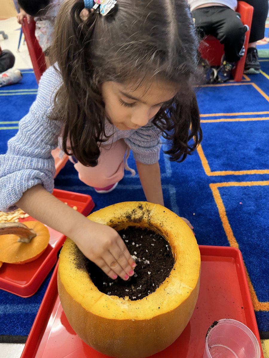 Katie Lewandowski tweet media