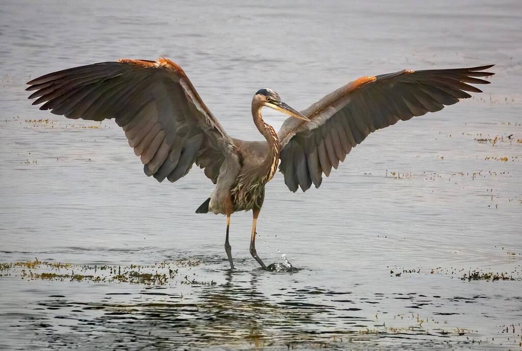 Michael  Melford tweet media