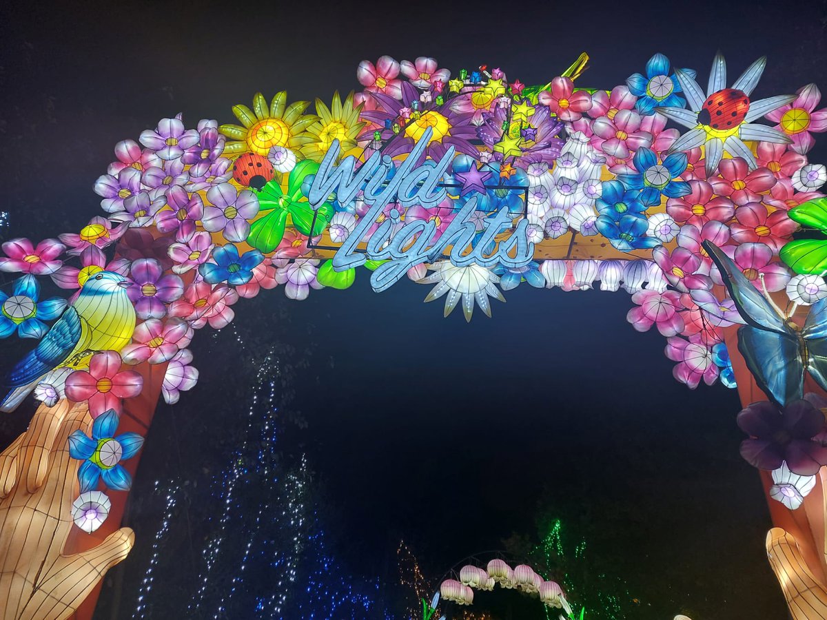 damien_omeara's tweet photo. Great night out for the Mini O’Mearas in @DublinZoo, fair to say #WildLights got a big double thumbs up.
#PRDrop https://t.co/SzA3hIlKsI