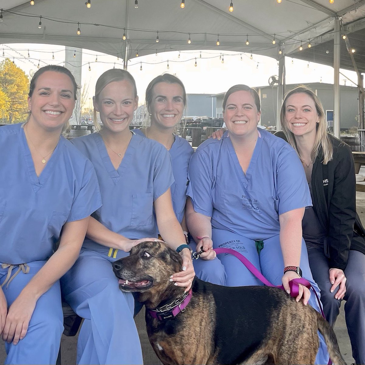 Chrissy Callaway, MD (@chrissycallaway) on Twitter photo Feeling so lucky to have such amazing, supportive women in our program! (Not pictured: Gen ❤️)  <a href="/UTHSCUrology/">UTHSC Urology Residency Program</a> Feeling so lucky to have such amazing, supportive women in our program! (Not pictured: Gen ❤️)  <a href="/UTHSCUrology/">UTHSC Urology Residency Program</a>