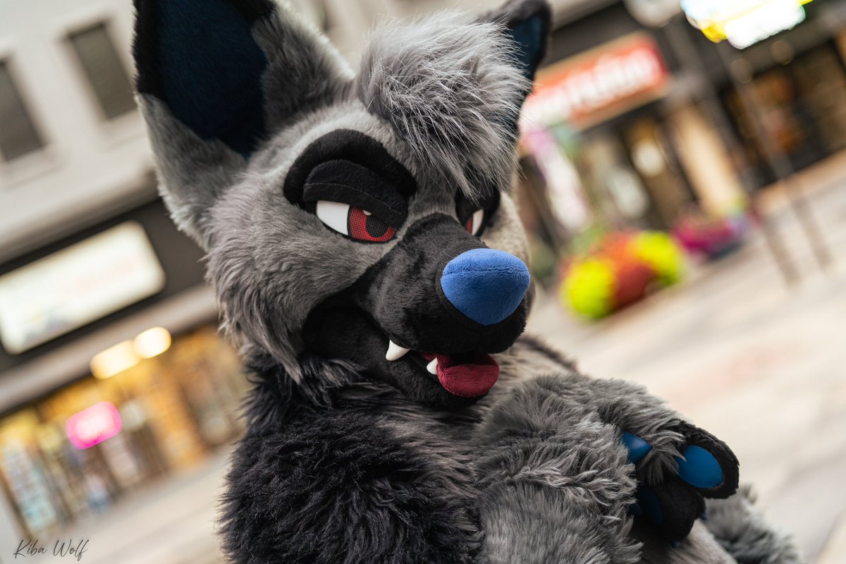 RookaRoo tweet media