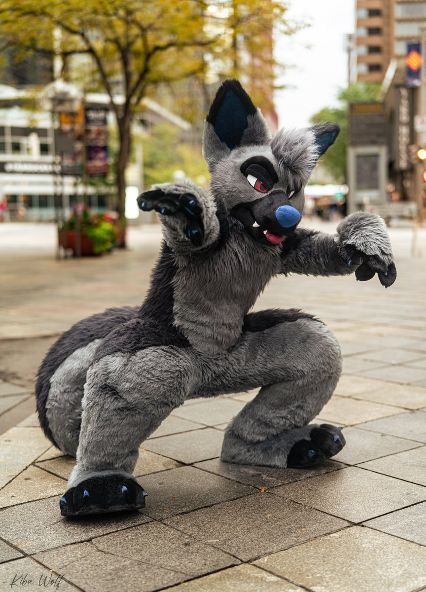 RookaRoo tweet media