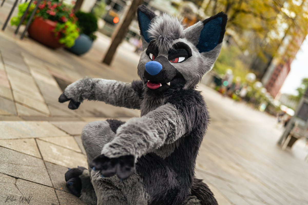 RookaRoo tweet media