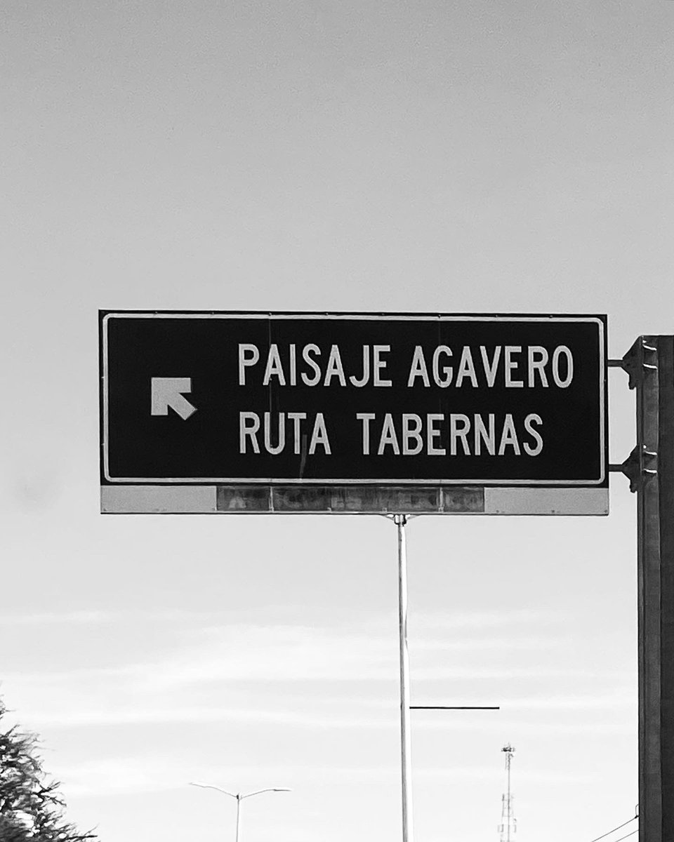 MariaPensi's tweet photo. Tequila • Jalisco • https://t.co/F6X6DXDZqv
