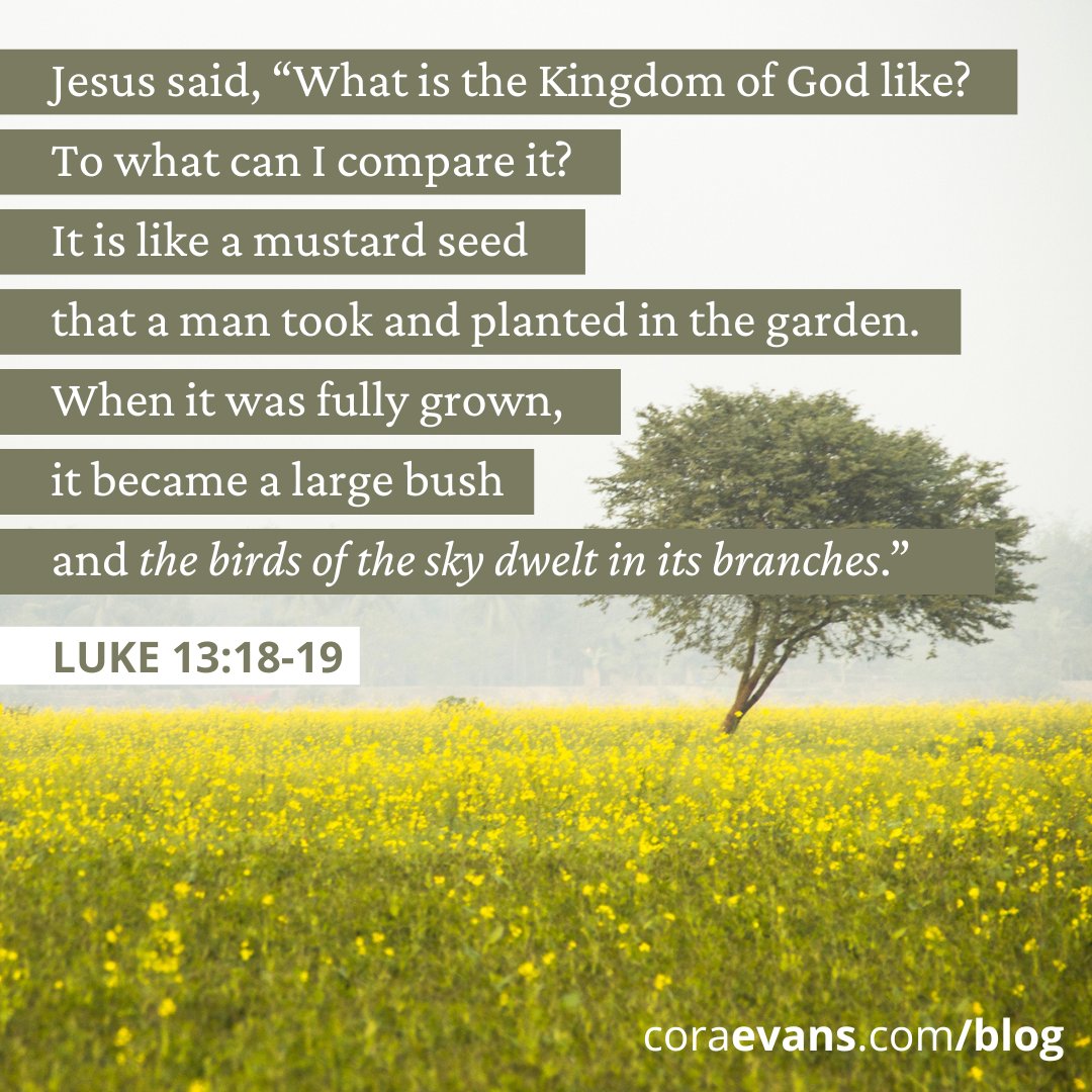 Father, give us faith.

#Faith #Hope #Love #JMJ #Jesus #Prayer #Catholic #Scripture #Gospel #Luke