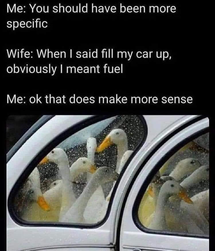 ProblemGoose tweet media