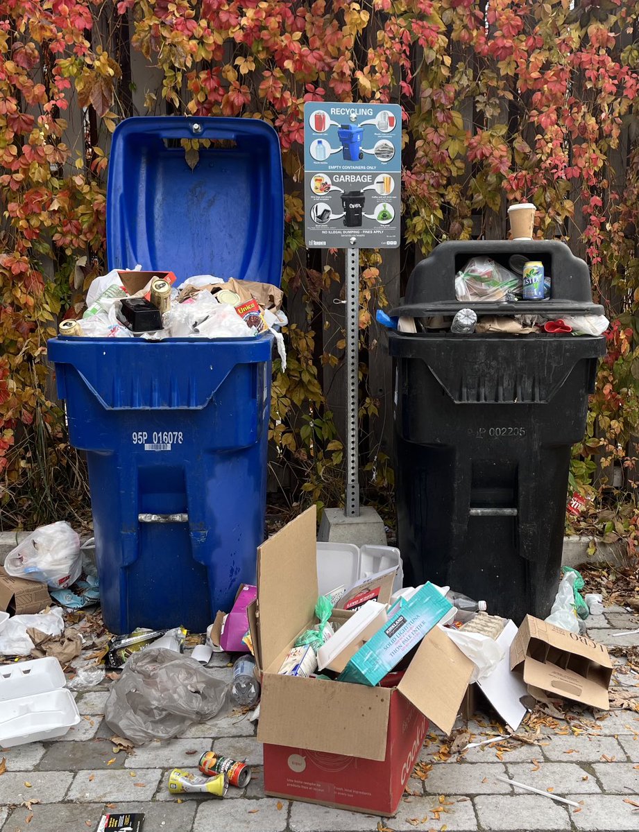 Walked to the market today, great to see the fall colours.
