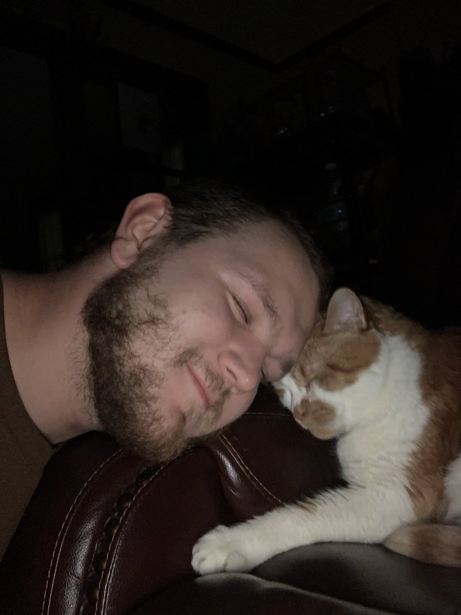 JesseGolden23's tweet photo. Say hi to Joey, the family Cat♥️ https://t.co/wJaElpG4py