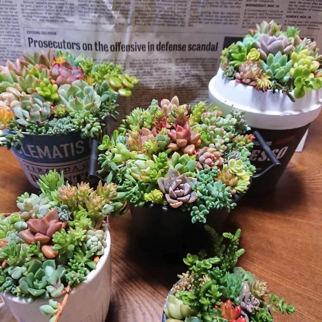 9oxhceivji3sdm 9oxhceivji3sdm