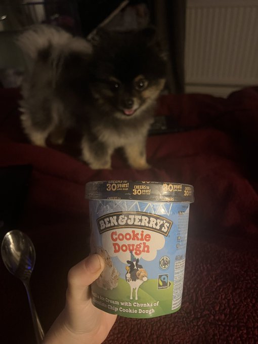 When life gets you down&hellip;  Mando and Ice Cream 🥰 https://t.co/hfq9128rrR