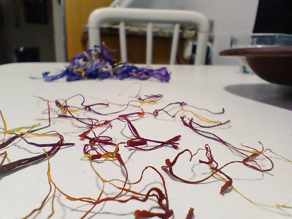 Llega el otoño.
Llega el azafrán. 

#azafran #saffron #crocus