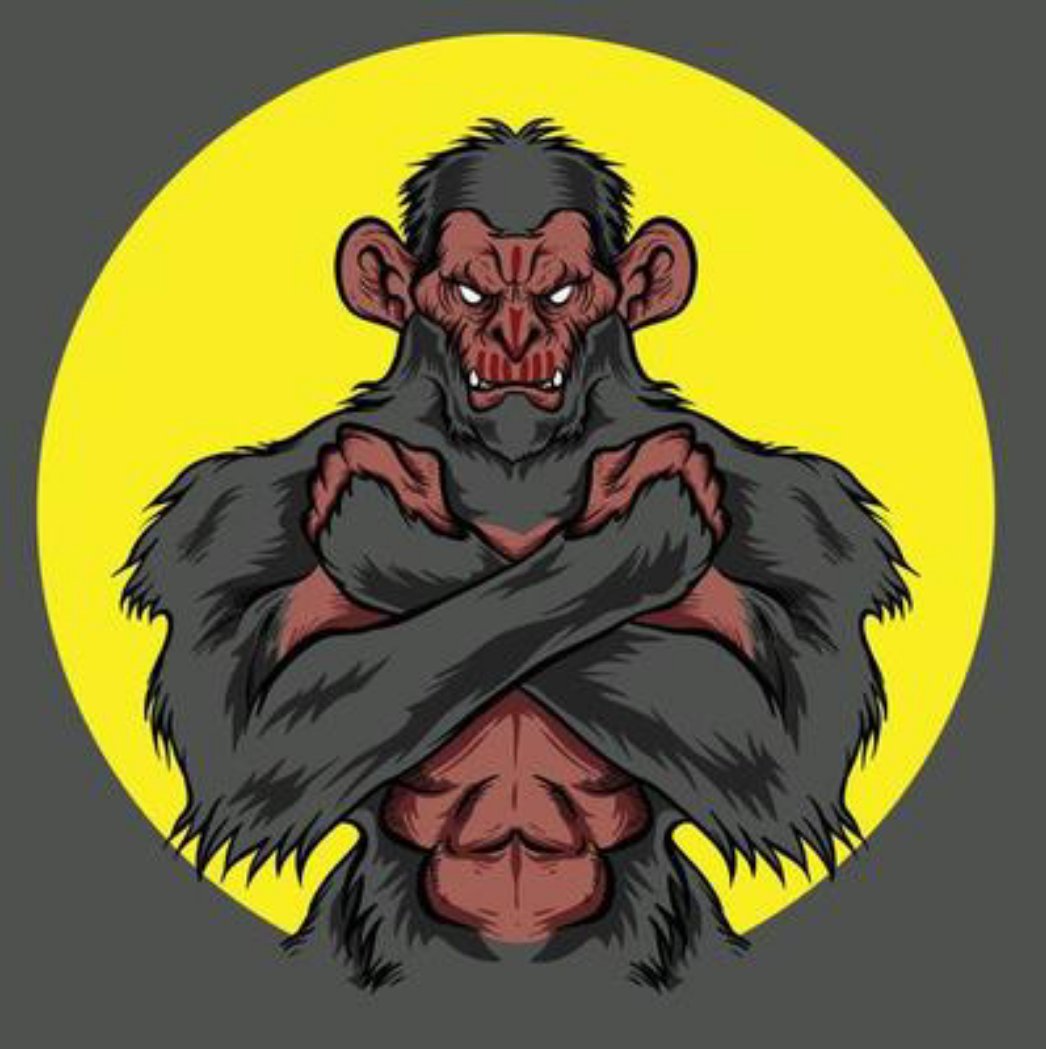 Dirk van rooy tweet media