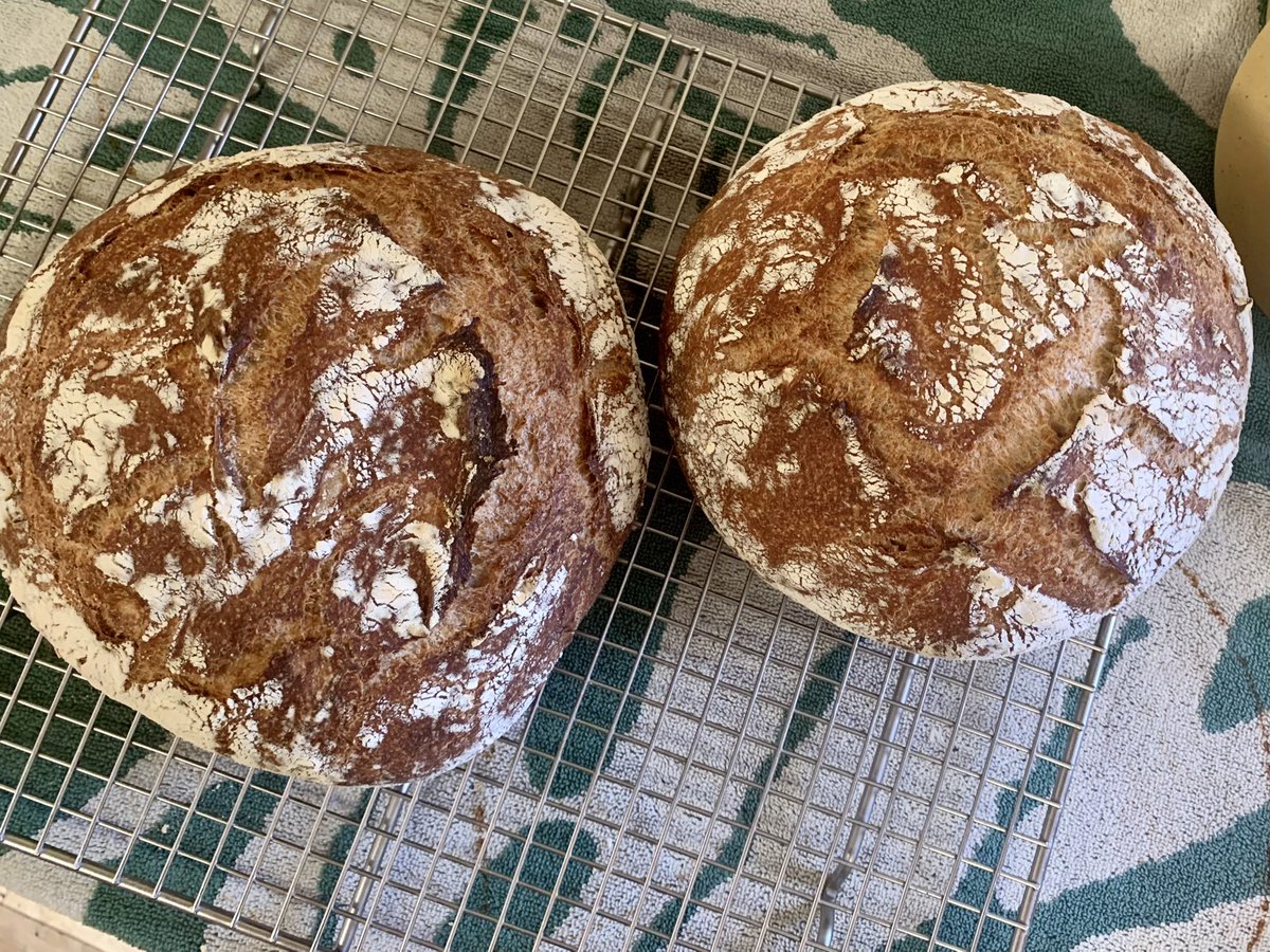 Erisouls's tweet photo. Made the most gorgeous loaves today! 🌾 https://t.co/Q4b2xEJvap