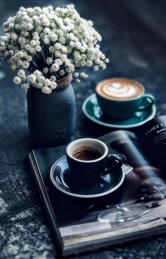 みかんちゃん Aim Rena 毎日暑過ぎてバテバテです この暑さは溶けちゃいますよ れなちゃんも熱中症や脱水症に気を付けて下さいね Twitter