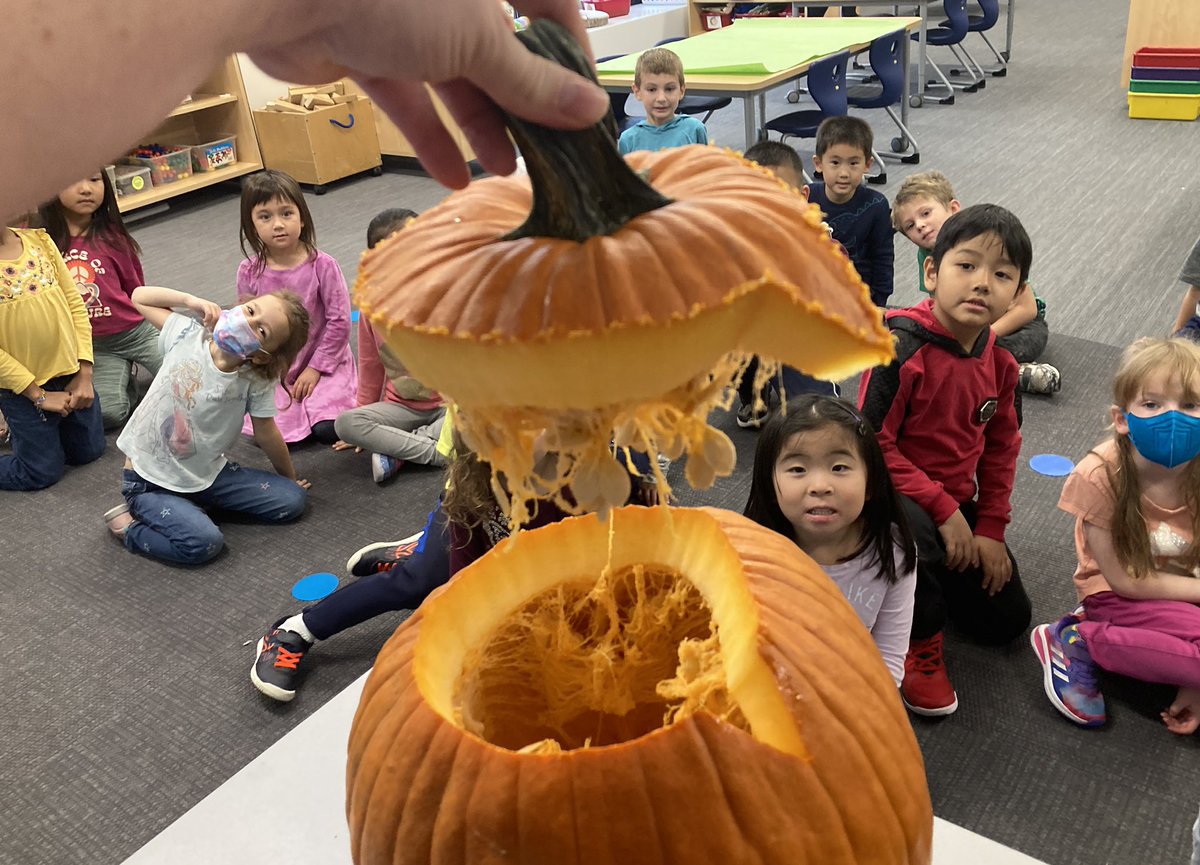 Mrs. Greiner tweet media