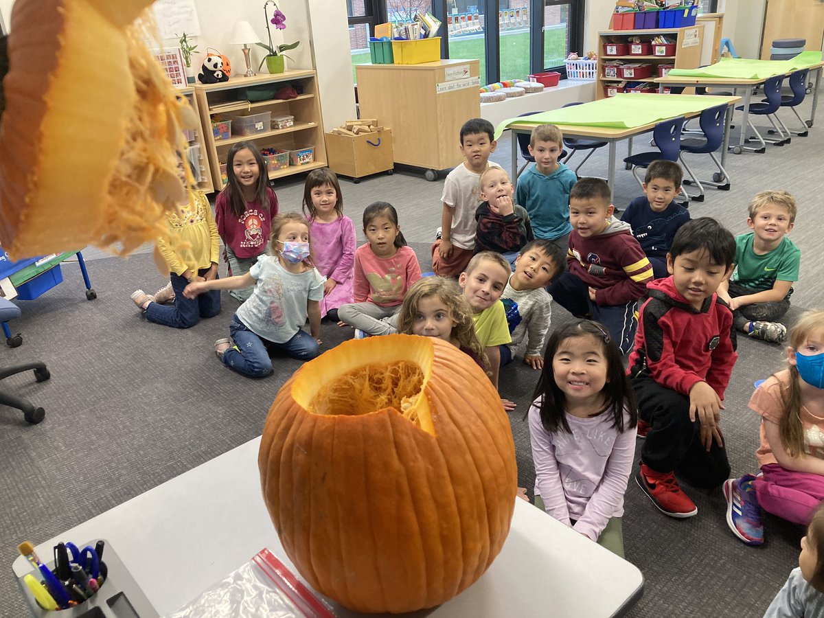 Mrs. Greiner tweet media