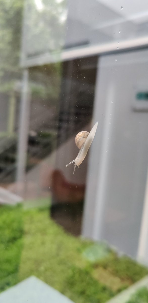 Sten 🏳️‍🌈 tweet media