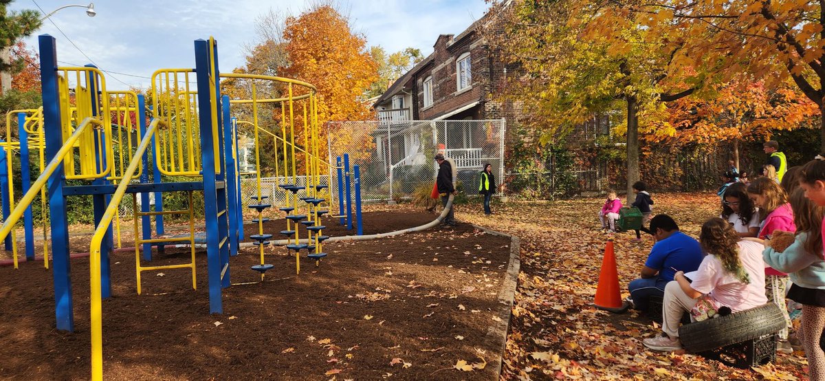 McMurrichJPS (@tdsb_mcmurrich) on Twitter photo Happy to report we have a new shipment of fluffy mulch under our climber and in the Kinder yard as well! Not only will it make for a soft landing - it smells βpineyβ fresh! <a href="/shelleylaskin/">Shelley Laskin π¨π¦</a> <a href="/AHoward_tdsb/">Andrew Howard</a> <a href="/McMurrichParent/">McMurrich Parents</a> Happy to report we have a new shipment of fluffy mulch under our climber and in the Kinder yard as well! Not only will it make for a soft landing - it smells βpineyβ fresh! <a href="/shelleylaskin/">Shelley Laskin π¨π¦</a> <a href="/AHoward_tdsb/">Andrew Howard</a> <a href="/McMurrichParent/">McMurrich Parents</a>