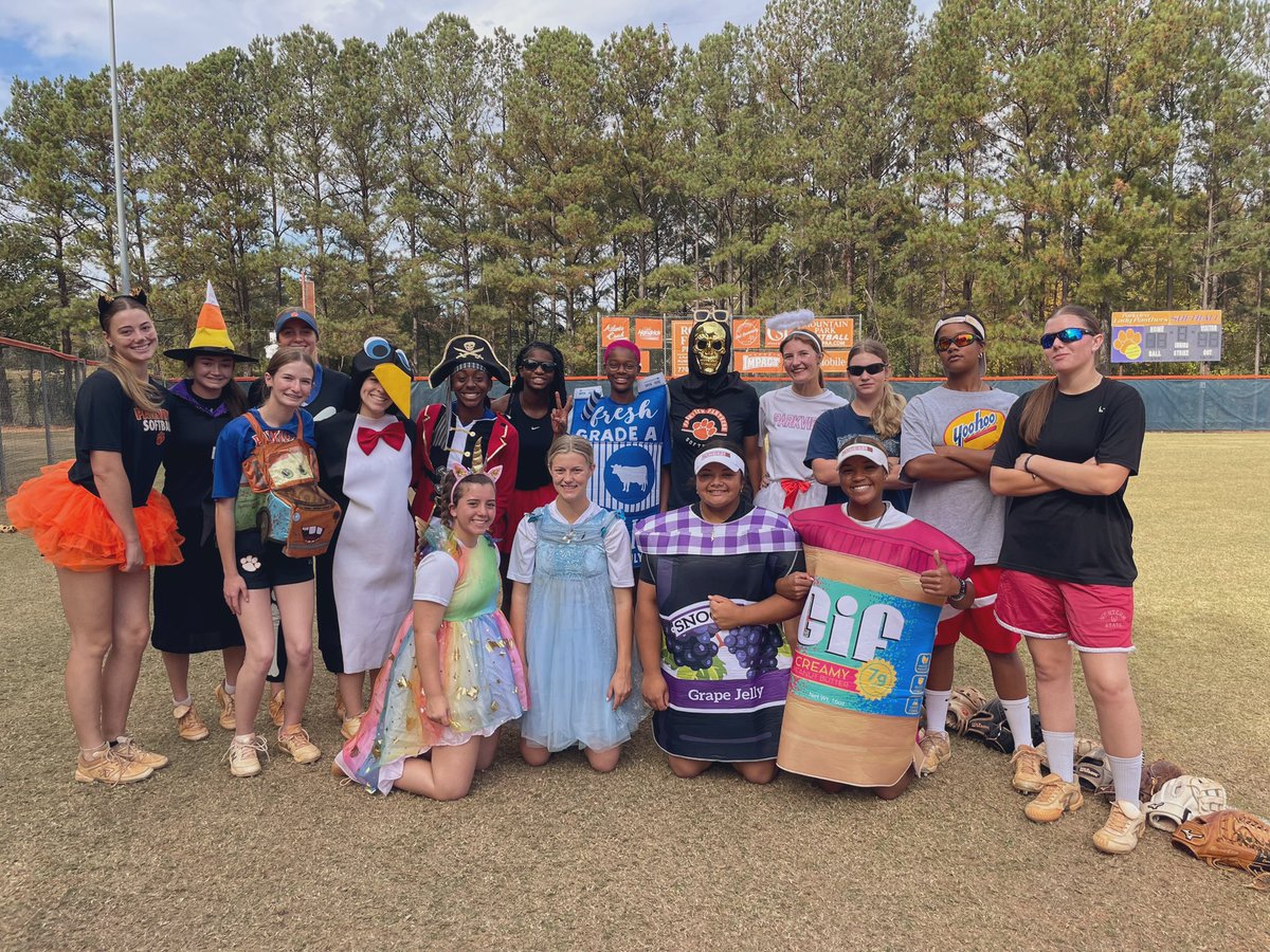 Parkview Softball tweet media