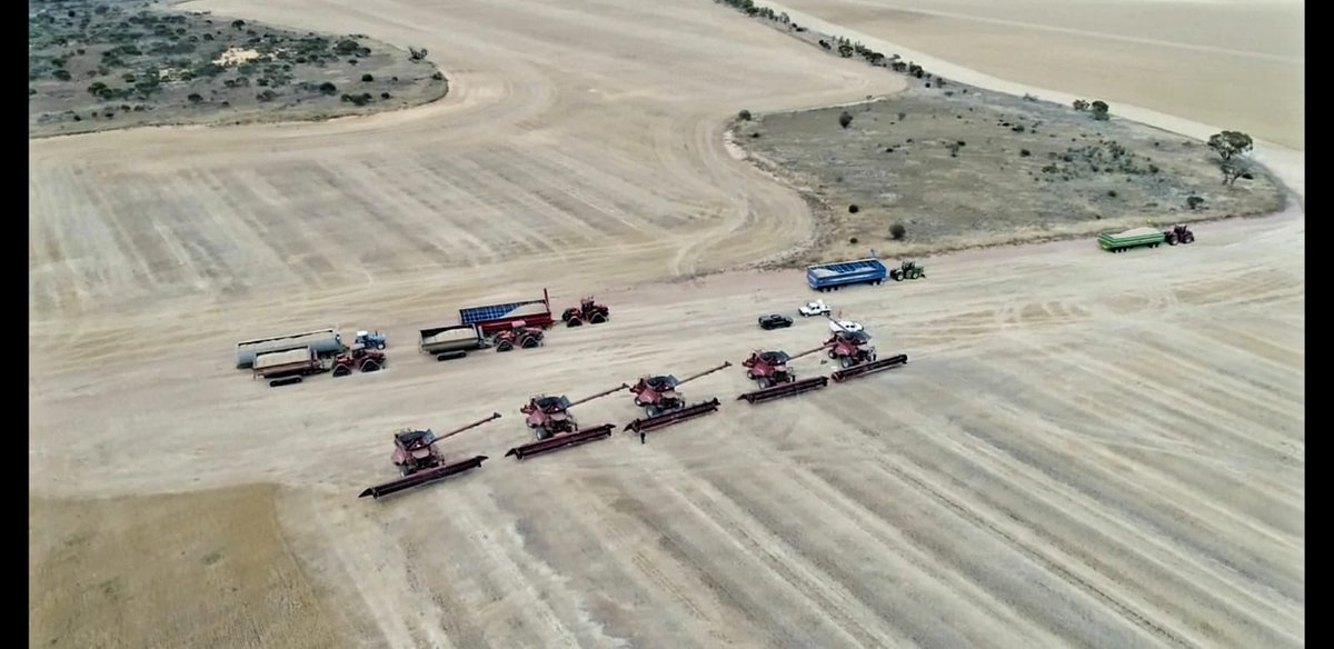 Rod Messina tweet media