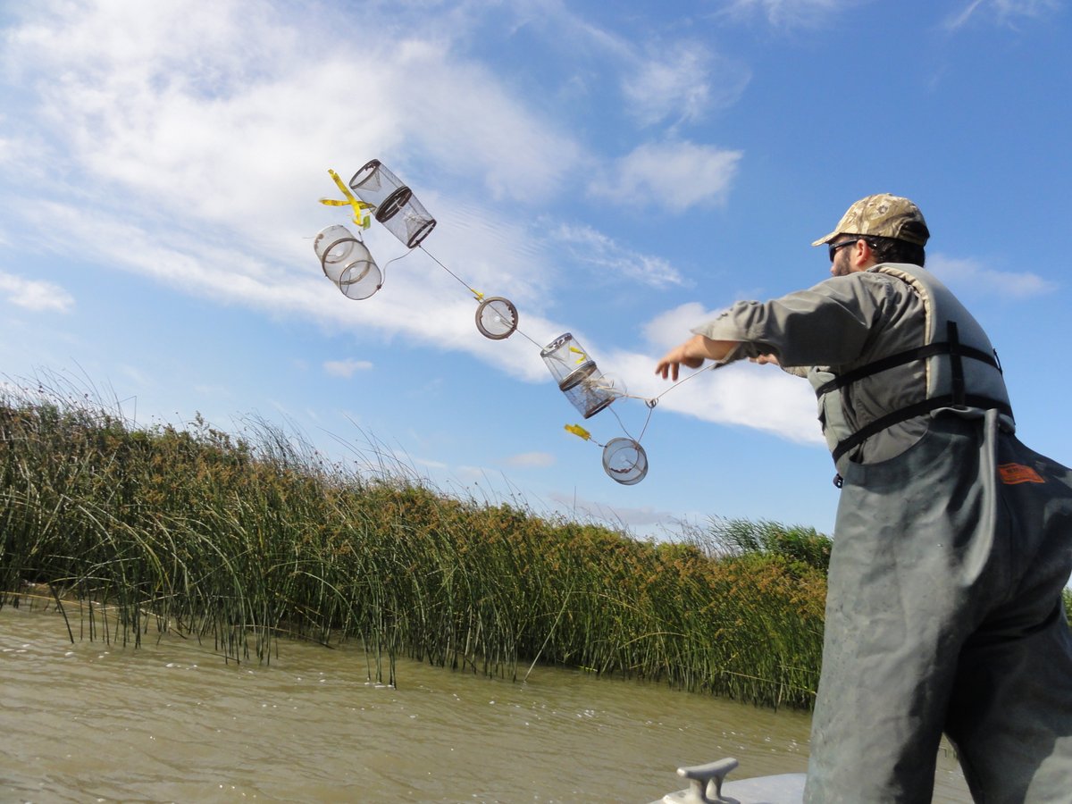 UC Davis Center for Watershed Sciences tweet media