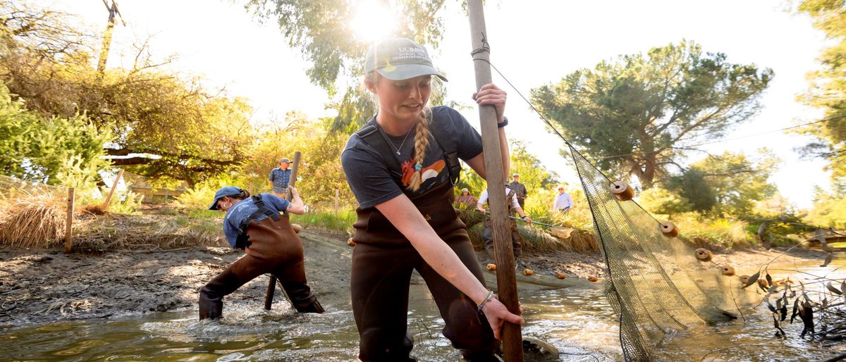 UC Davis Center for Watershed Sciences tweet media