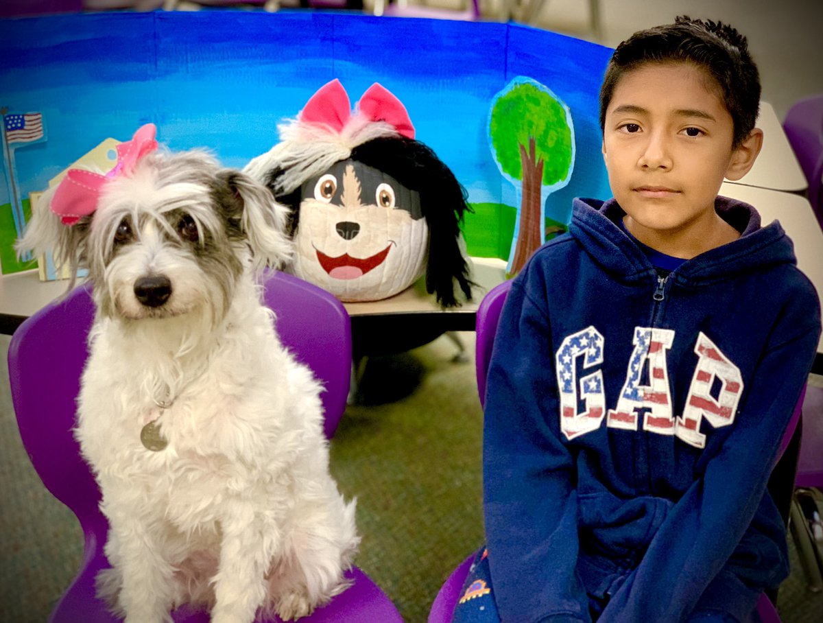 lindseylove85's tweet photo. Dolly Does Her Job is a book that was written about one of our very own therapy dogs at Roth! This year we were touched to see 2 students bring this story to life with their story book pumpkins!
@KleinISDChelsea #KleinISDPRSquad #kleinisdfamily @RothKISD https://t.co/bEZfwYN96H