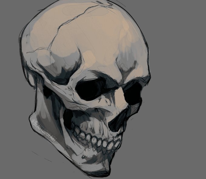 「skeleton」 illustration images(Latest)｜17pages