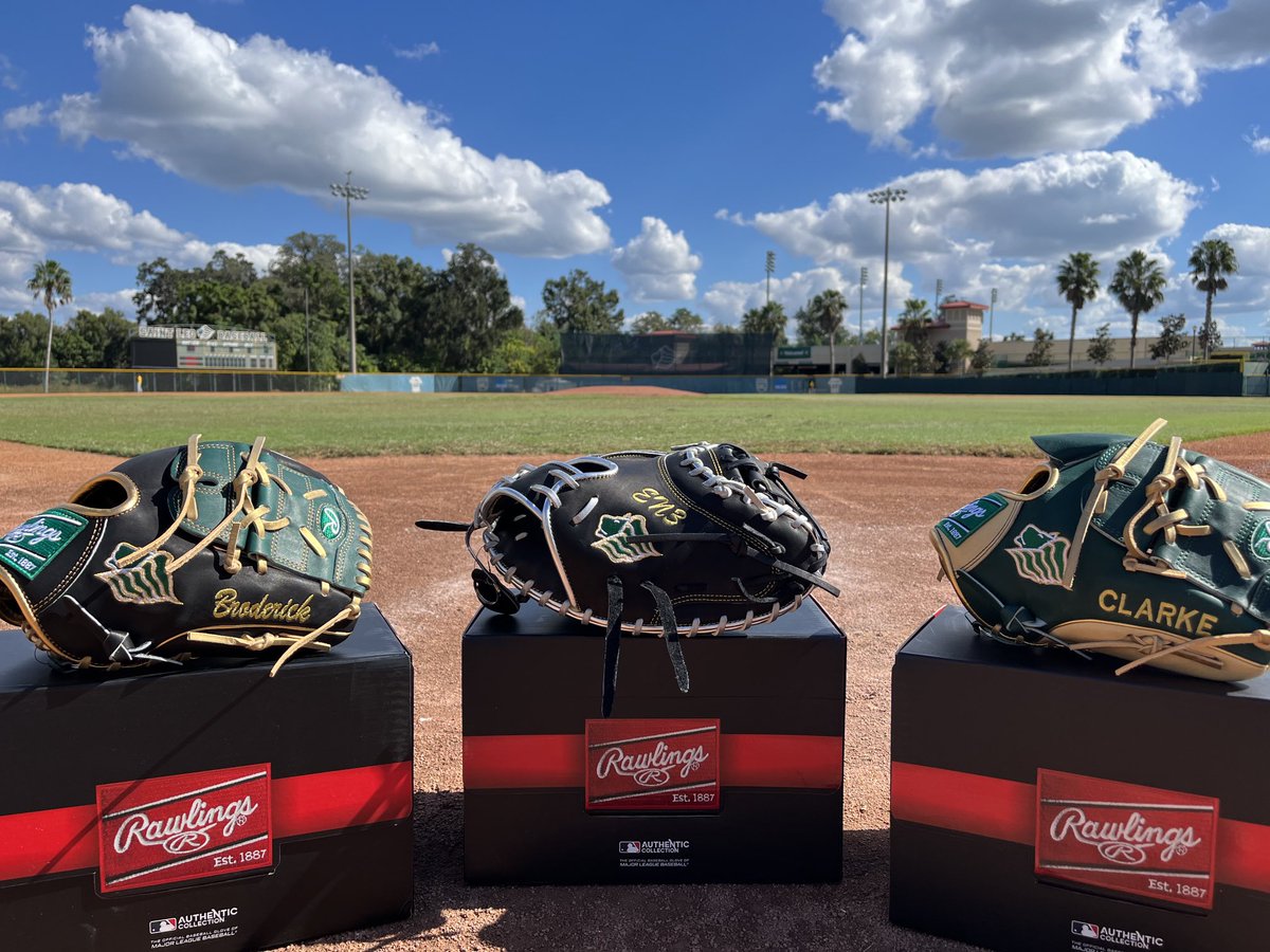 Look what came in today 👀                    First set of ⁦<a href="/RawlingsSports/">Rawlings Baseball</a>⁩ custom gloves in! #LIONS🔒