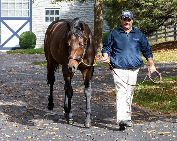 Anne Eberhardt Keogh tweet media