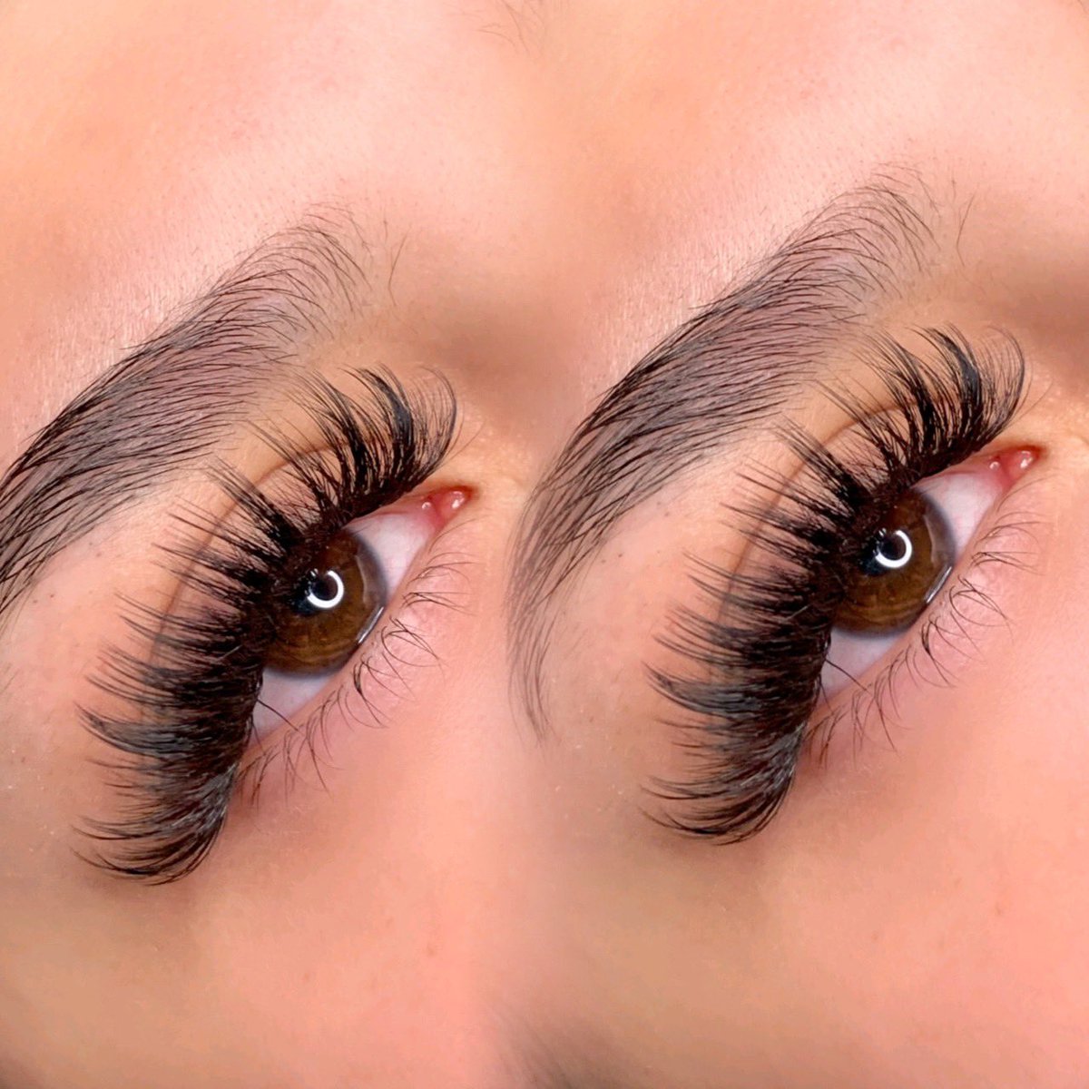 danyellsdan's tweet photo. lash dump ✨ https://t.co/8YT07IYYlp