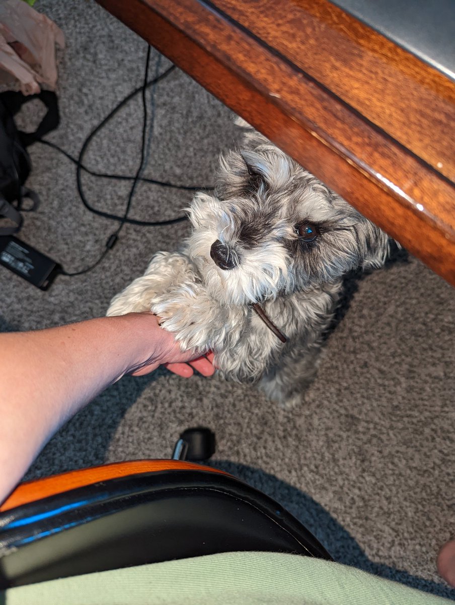 Tiffany Mull tweet media