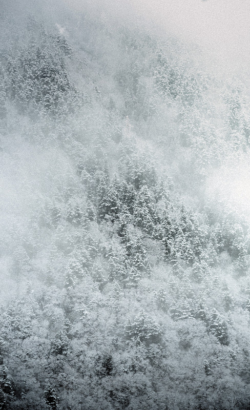 NancyJSaunders1's tweet image. 