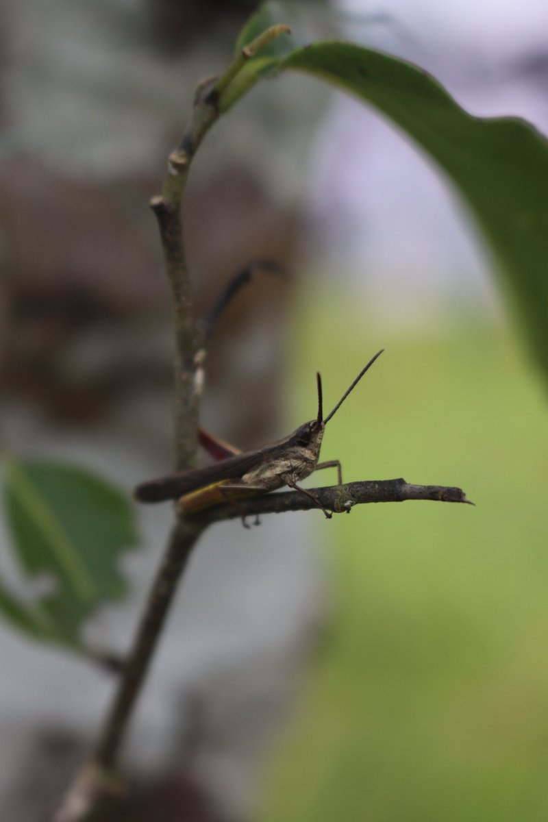 naili_anisa's tweet image. Arsip foto #freetoedit bolehlah...

#Retweet &amp;amp; #replytweet kalo udah diedit yak (⁠｡⁠♡⁠‿⁠♡⁠｡⁠)
Sertakan username #Instagram juga
Kasih #typography makin cakep tuh 

Doc. 22 Oktober 2022