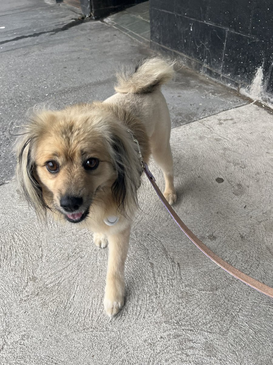 Anyone order a fresh cut Bagel?