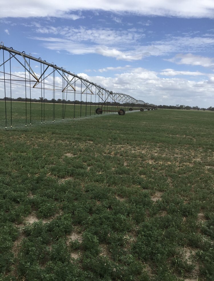 Simon Teate tweet media