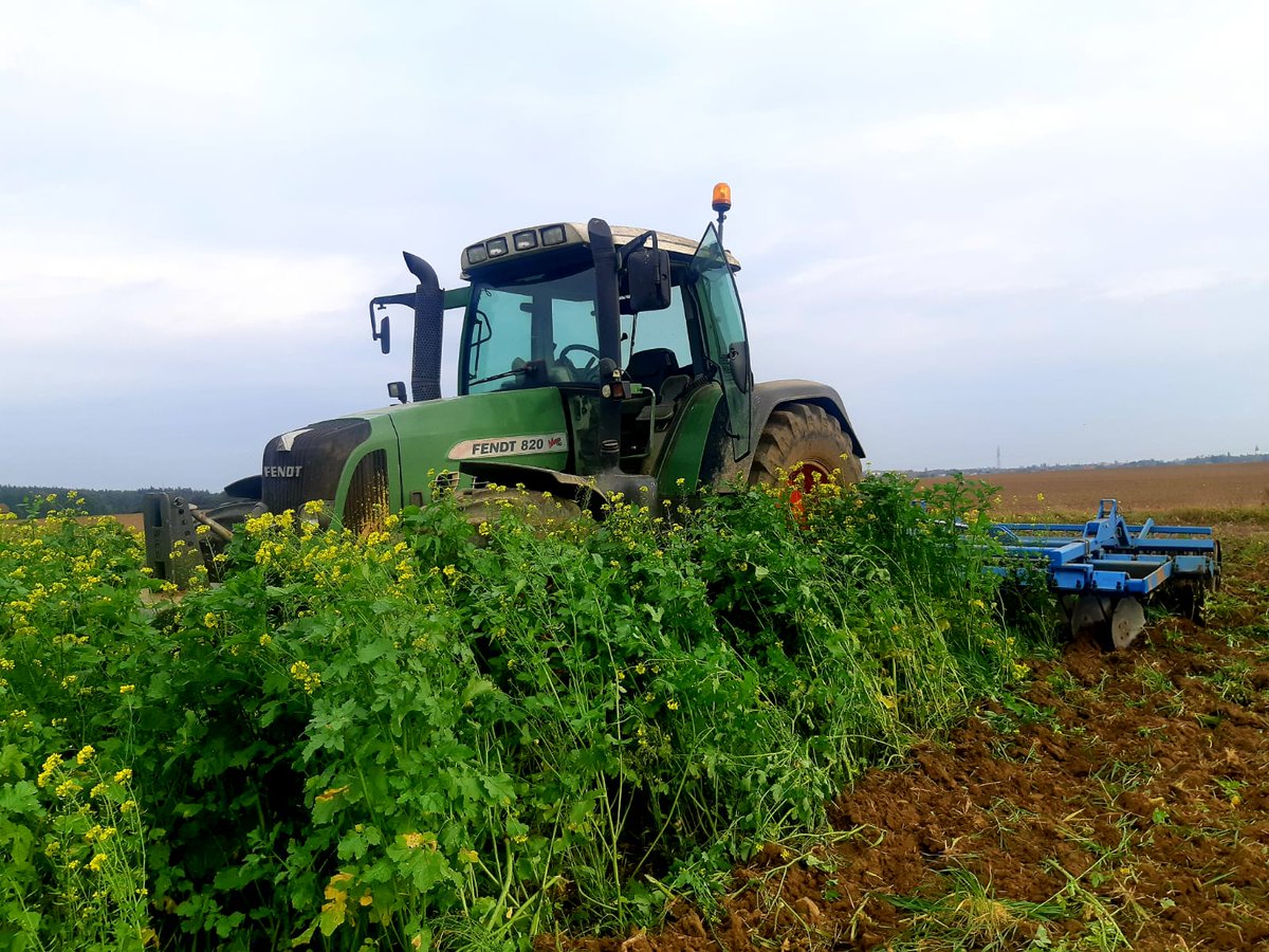 profiMagazin's tweet photo. Begrünung einarbeiten mit einem #Fendt 820 und 6m #Mandam GAL-C Scheibenegge. https://t.co/2xSCj5nT0p