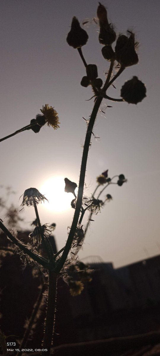 CdbRathor's tweet image. New photo